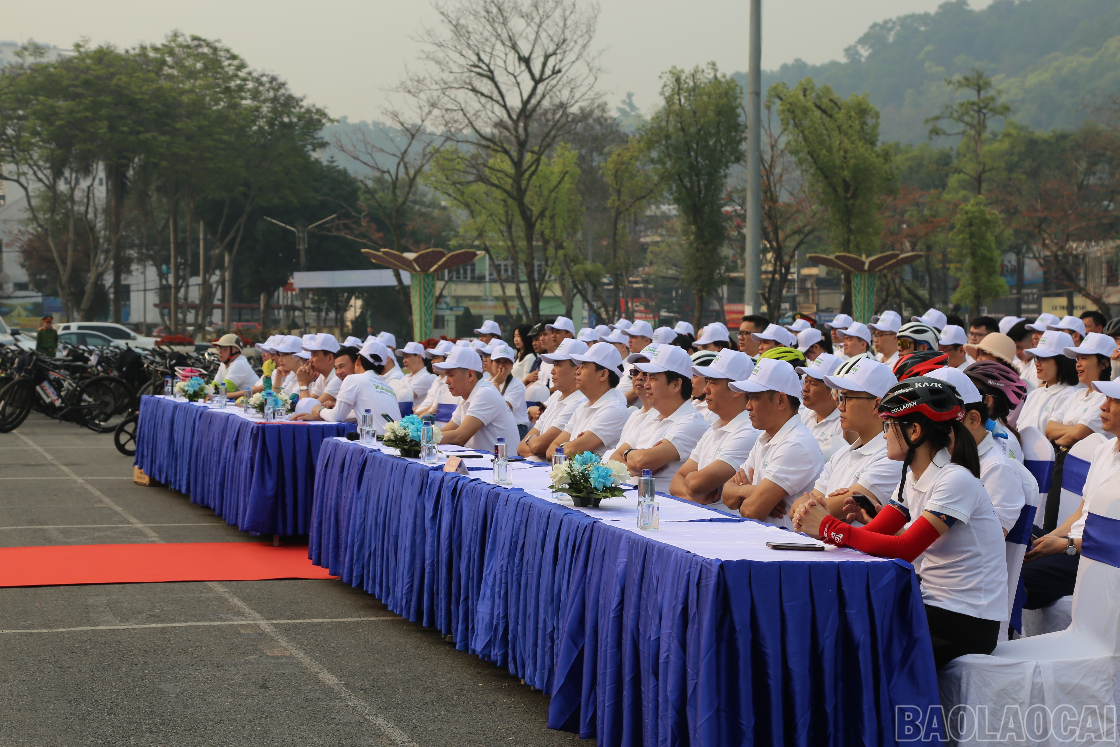 baolaocai-br_img-9987.jpg
